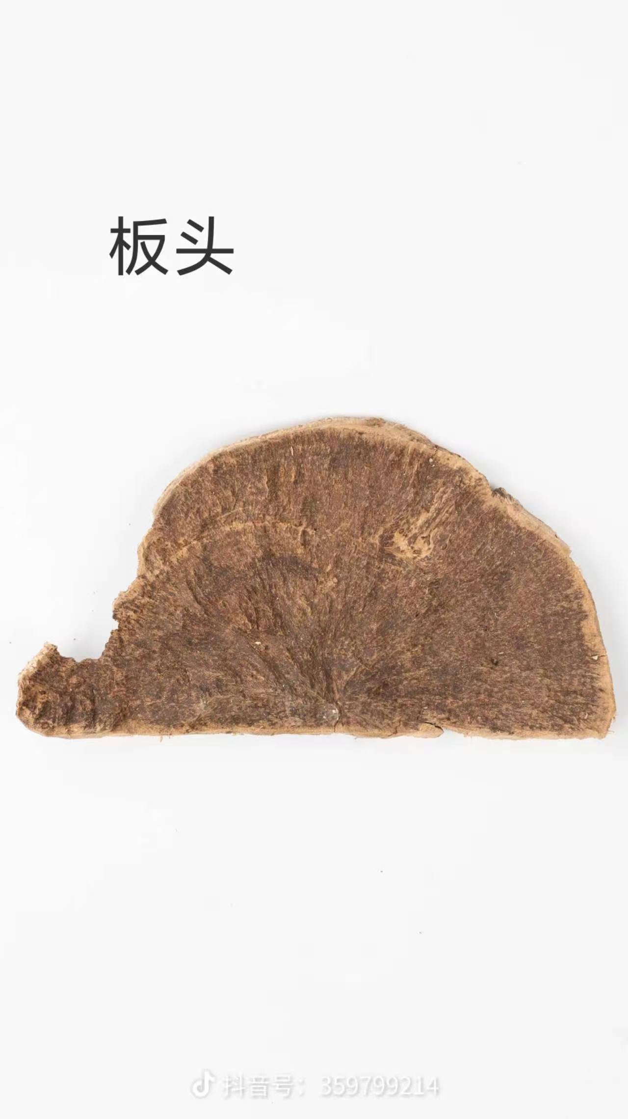 板头 หัวแผ่นไม้กฤษณาป่า — หน้าตัดรูปพัดที่มีแถบยางหนา จัดหาสำหรับเศษ bakhoor และของสะสม