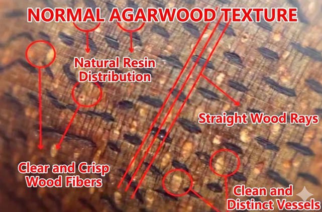 Conta autêntica de agarwood — veias escuras de resina natural visíveis sob lente macro