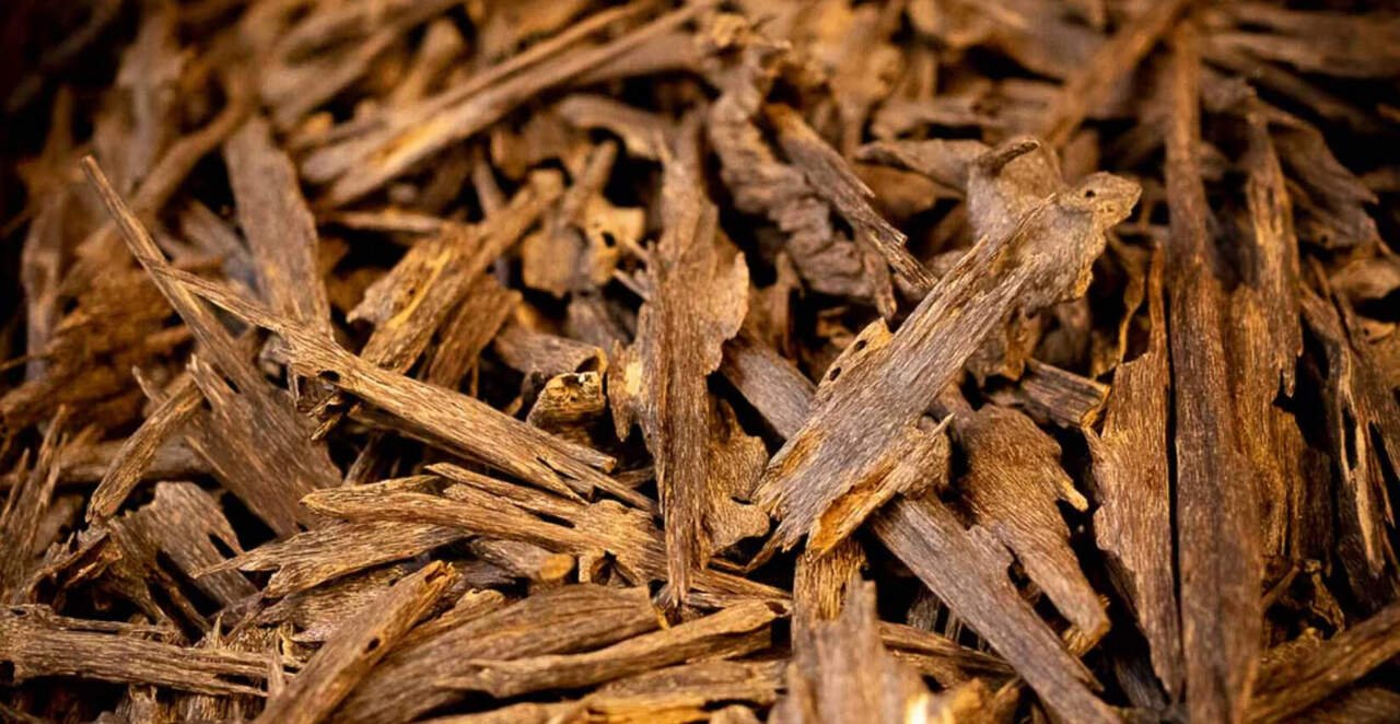 Halal-certified bakhoor and oud export from Malaysia Indonesia — agarwood wholesale supplier for Southeast Asia Muslim fragrance market