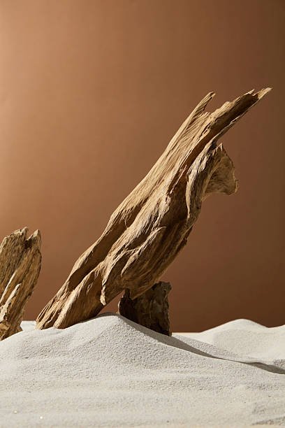 Agarwood Carvings — Hand-carved agarwood pieces — from plantation figurines to premium agarwood carving art for luxury collectors.