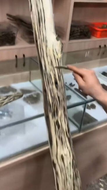 Agarwood Logs — Agarwood Logs wholesale China, image 2