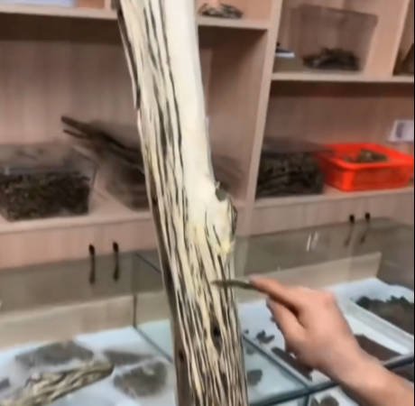 Agarwood Logs — Agarwood Logs wholesale China, image 4