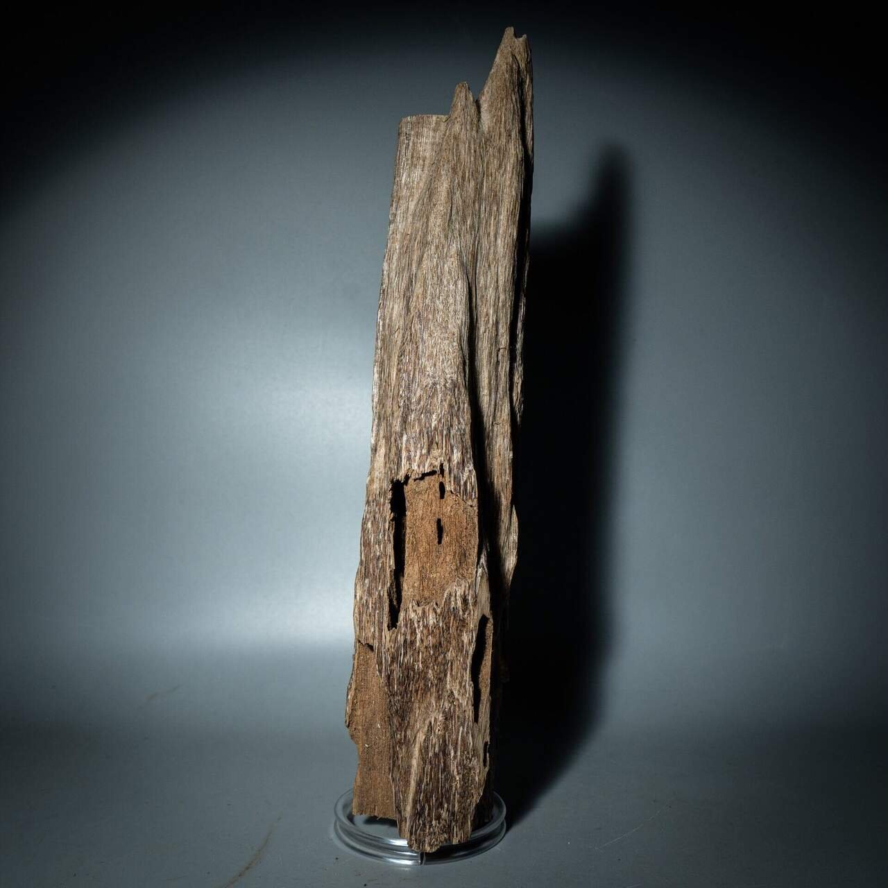Agarwood Carvings — Hand-carved agarwood pieces — from plantation figurines to premium agarwood carving art for luxury collectors., image 5