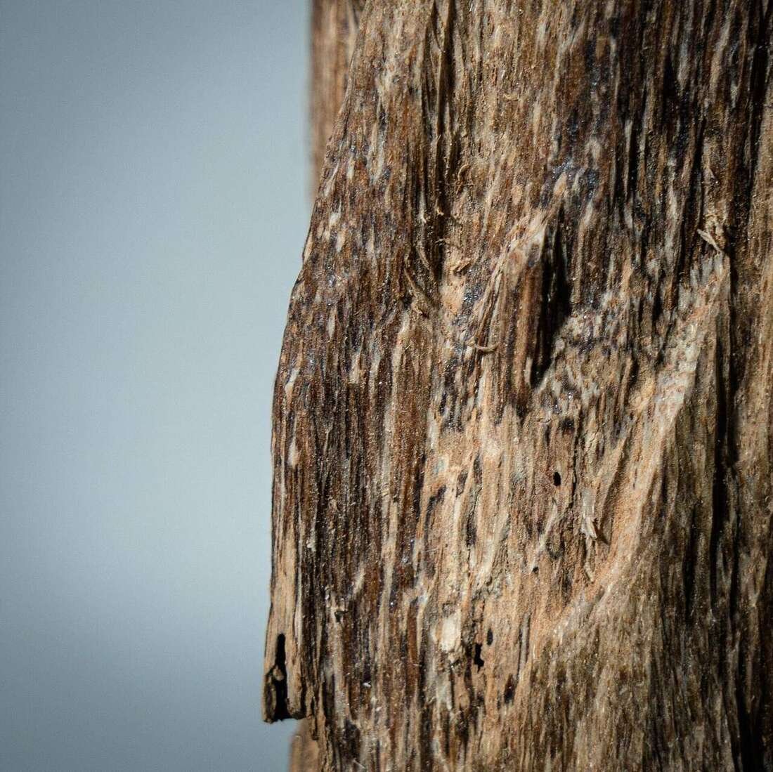 Agarwood Carvings — Agarwood Carvings wholesale China, image 6