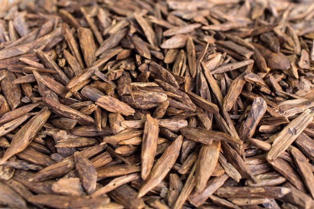 Kyara Reference Grade — Premium reference lot — supplied in case japan-koh-incense