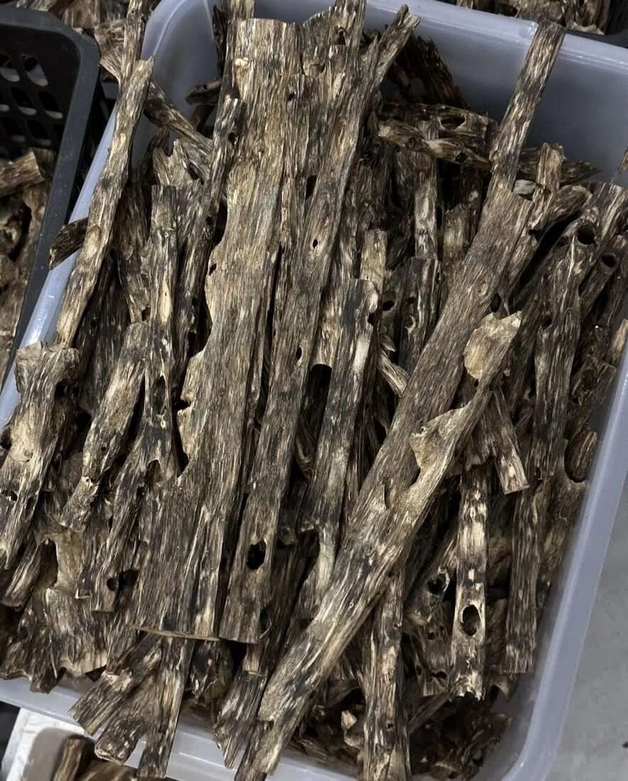 Oud Wood Chips — Oud Wood wholesale China, image 2